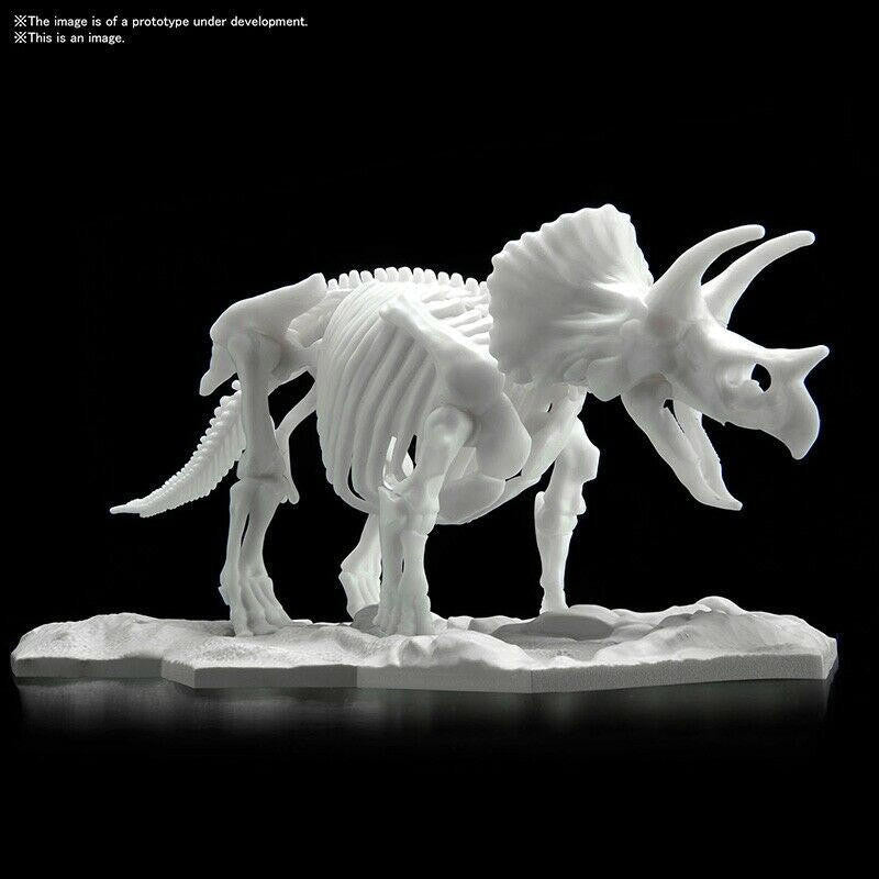 Bandai Triceratops Limex Skeleton Kit 2569527